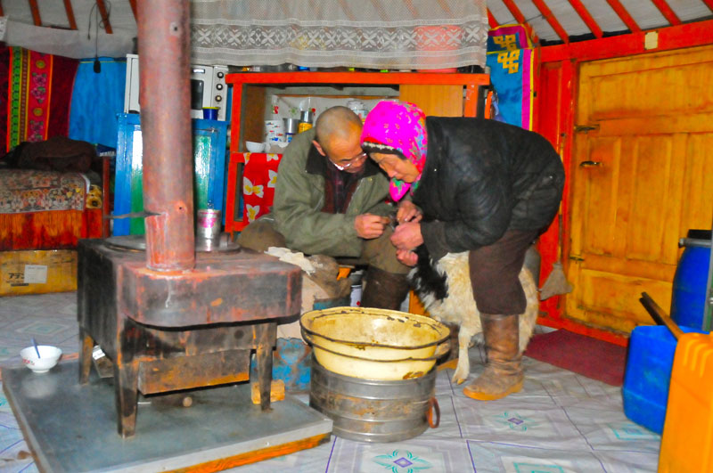 Mongolia
